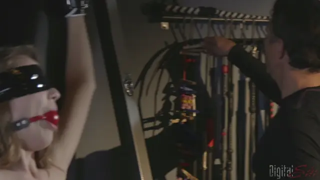 Poster: DIGITAL SIN: December 14, 2018 – Mick Blue, Samantha Hayes/Samantha Hayes – He's In Charge #2 BDSM