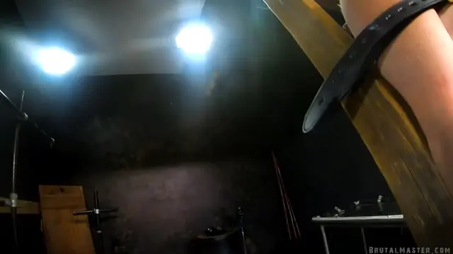 Poster: Kitty - Climbing the Ladder of Pain