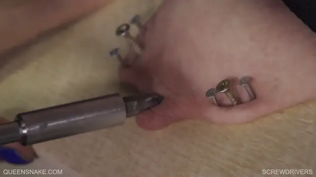 Poster: screwdrivers - abby, nazryana, qs