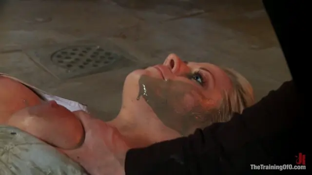 Poster: The Training of Holly Heart Day One