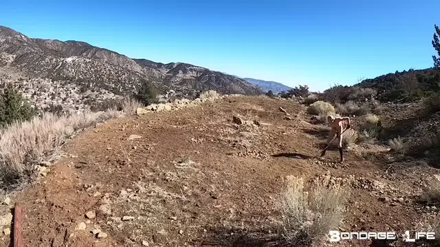 Poster: bdsm bound Working In The Sun, bdsm porn on bdsm porn