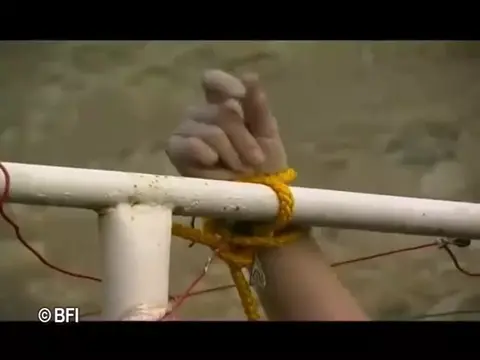 Poster: Extreme pain 24