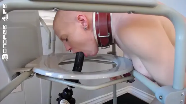 Poster: BondageLife – Dildo Training (Fucking Machine Edition)