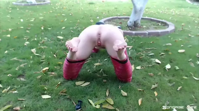 Poster: Bondage Life – Piggy In The Yard – Rachel Greyhound