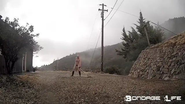 Poster: Bondage Life: Rachel Greyhound 2 updates Part 1