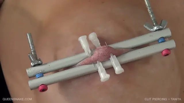 Poster: QS, Tanita (Clit Piercing / 24.06.17)