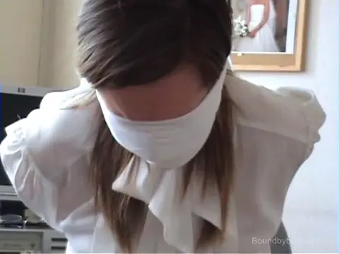 Poster: Secretary Sophia Struggles - The Video 2