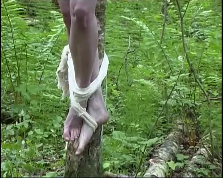 Poster: Crucifixion Dreams