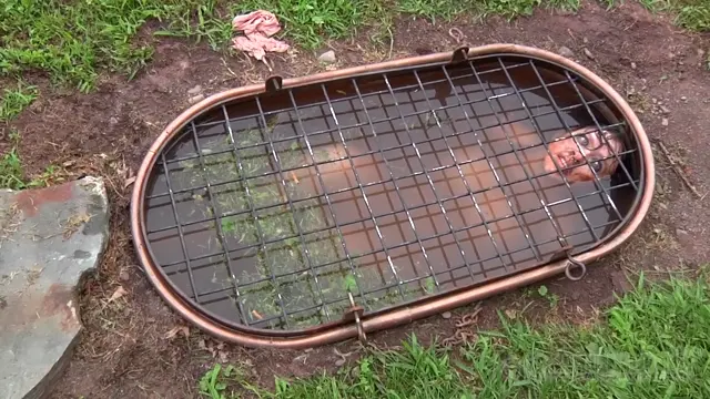 Poster: Elise Graves, Dixon Mason – Double Blind Study Part 1