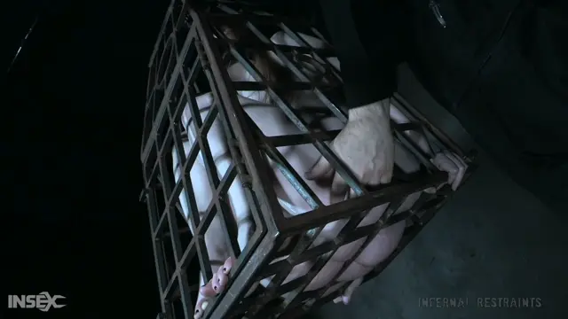 Poster: I Piss On Your Cunt