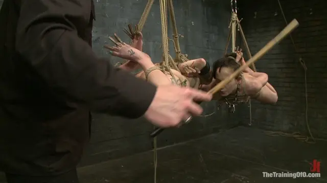 Poster: Day 5 sparky and muscles