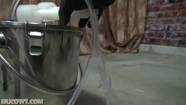 Poster: Hucows – Nyssa Nevers – angry HuCow