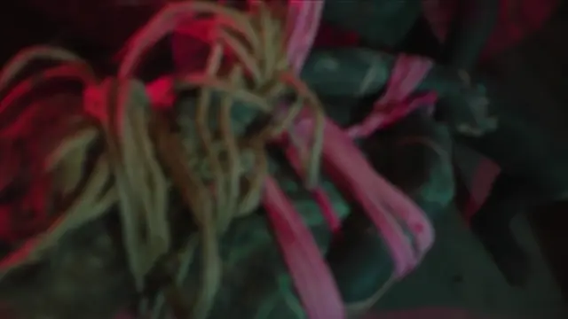 Poster: 7641 Dirty Dreaz - Quiet -BDSM Fetish Art Kink Shibari Bondage Tattoo ...