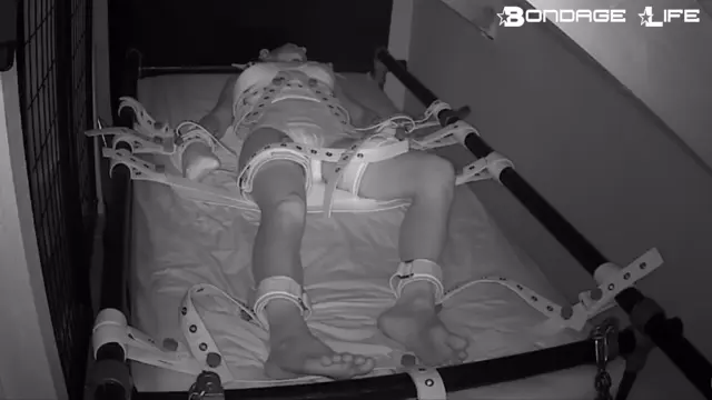 Poster: Segufix Nap (Diapered Edition)