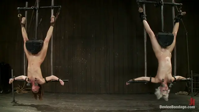 Poster: Double Inverted Sybian Suspension