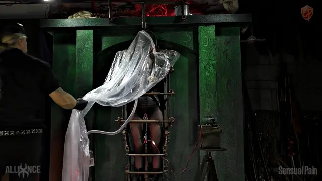 Poster: SensualPain – Aug 4, 2019: Human Storage Gibbet | Abigail Dupree