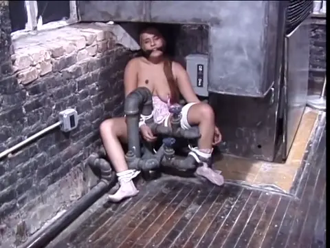 Poster: Hottie with a nice rack bound in a room corner