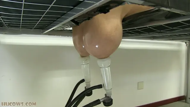 Poster: Hucows – vibrated on the bed – Katie