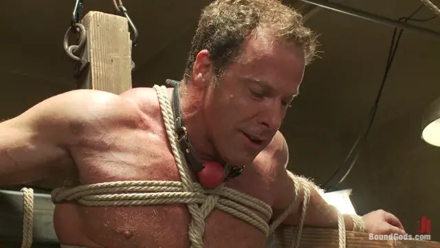 Poster: Pain Limit - Live Shoot