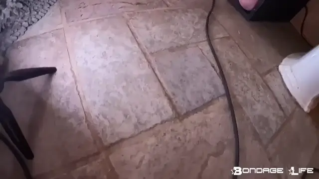 Poster: BondageLife - The Urinal Box Rachel Greyhound, Dart_Tech