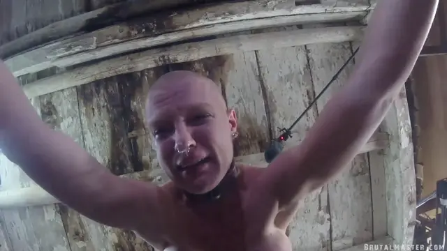 Poster: Greyhound - Broken On The Barrel