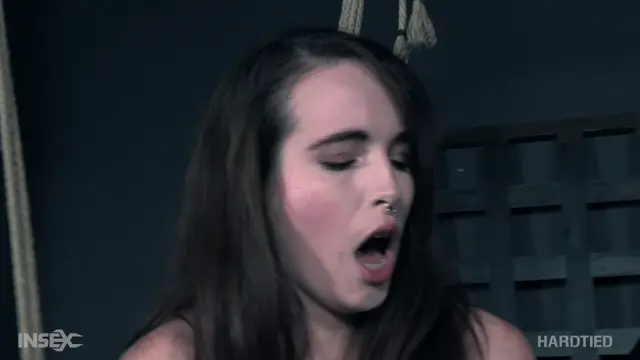 Poster: Hardtied – Nov 21, 2018: Brooke Report | Brooke Johnson