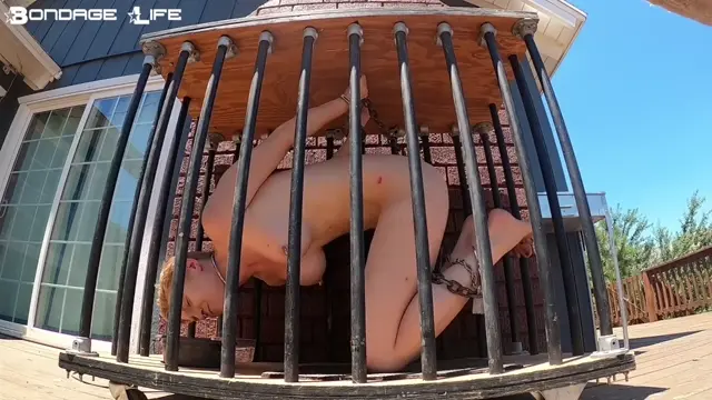 Poster: Bondage Life – Cage Time (Nature Edition) – Rachel Greyhound
