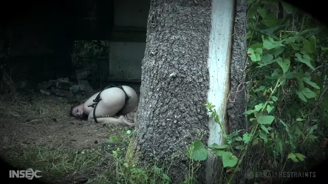 Poster: INFERNAL RESTRAINTS: Oct 5, 2018: Gronc'd | Summer Hart/Four Gronc images come to life! BDSM