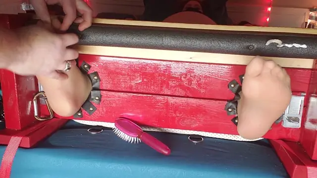 Poster: Pregnant nylon tont upd