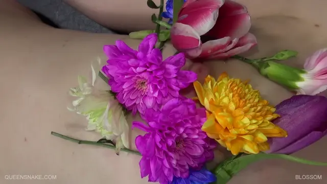 Poster: Queen Snake – Blossom 2016 July 2