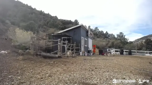 Poster: Trash Duty (Bane and the Chickens)