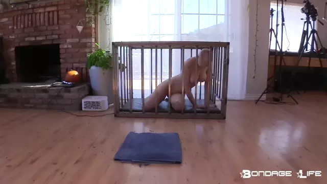 Poster: Greyhound Head Shave (BrutalMaster Edition) – 1/24/2022