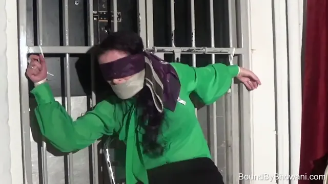 Poster: Bound to the Bars - The Video 2