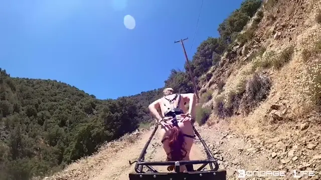 Poster: Bondage Life – Pony Cart Ride – Rachel Greyhound