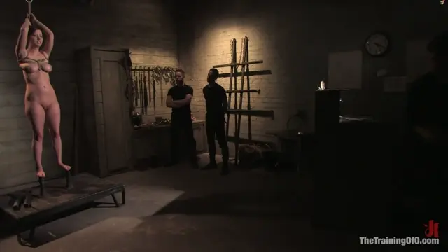 Poster: The Training of Cherry Torn, Day Seven