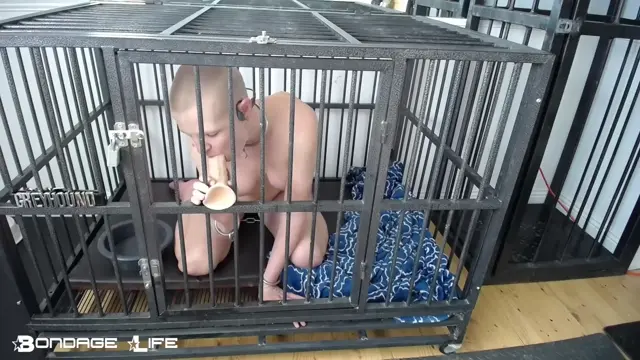Poster: Bondage Life – Cage Time With Greyhound (Brief Nap Edition)