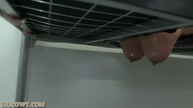 Poster: Ariel Captured