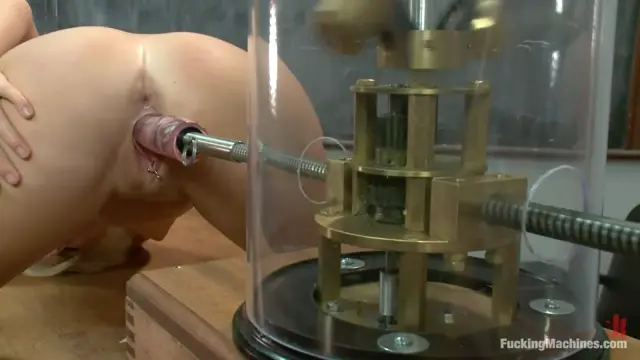 Poster: Punishment in the USA