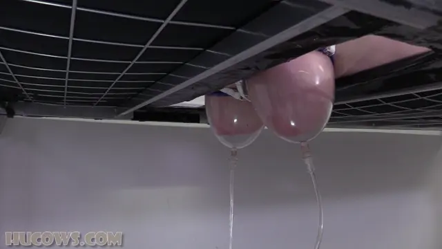 Poster: Hucows – Alice Maze – French HuCow