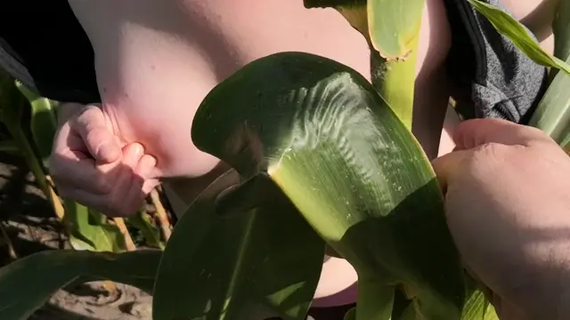 Poster: Slap an squeeze my tits in corn field