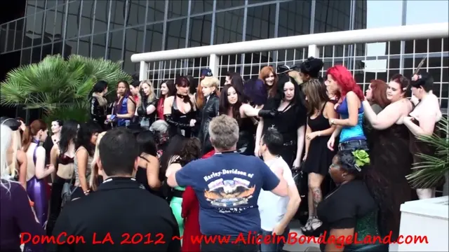 Poster: BONUS VIDEO - DomCon 2012 DDI Photo Time Lapse