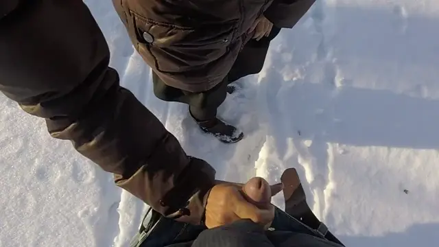 Poster: Frozen forest sy