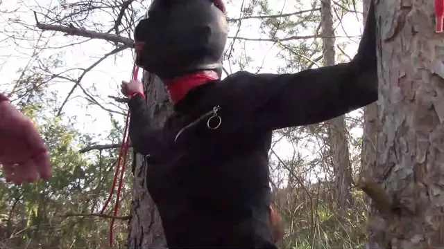 Poster: Outdoor sex in the wood. Wearing sexy clothes and high heels, bound, throated and fucked