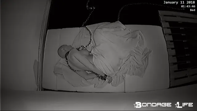 Poster: BondageLife - Goodnight Greyhound Rachel Greyhound