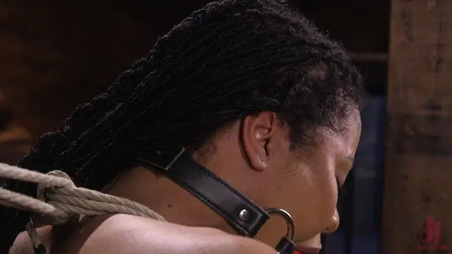 Poster: Hogtied – April 8, 2020 – Kira Noir