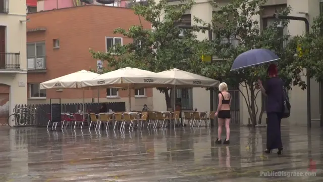 Poster: Eager Bitch Spanked And Flogged In The Rain - Part 1