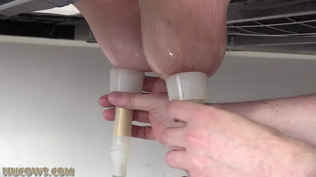 Poster: Hucows – Lady Lyne – on the milking bed