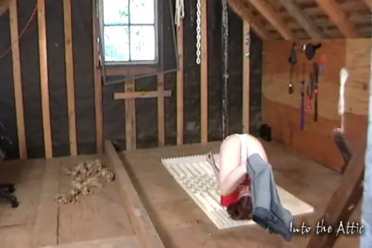 Poster: IntoTheAttic 0003 Fenri RT0-1.2008Feb15