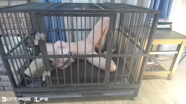 Poster: BondageLife - Cage Time With Greyhound - Rachel Greyhound