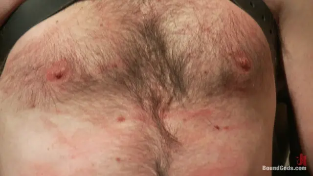 Poster: A Brand New Boy - October Live Shoot